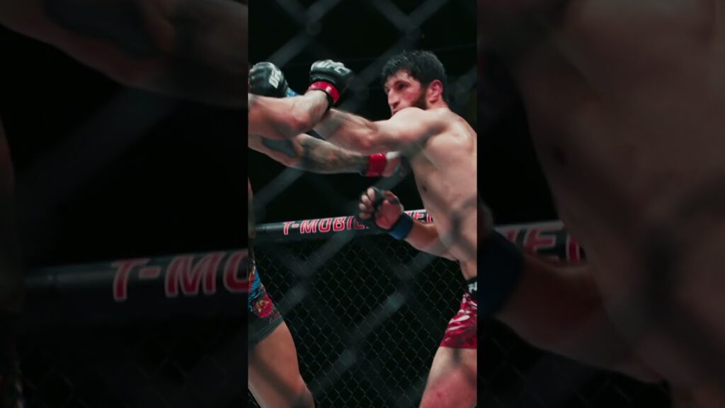 This first fight was intense, does the rematch have a different outcome? 🤔 #ufc320