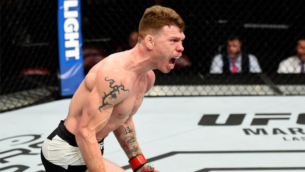 Top Finishes: Paul Felder