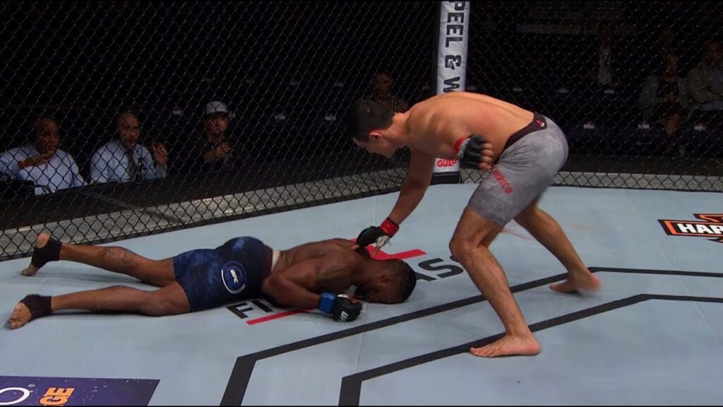 Top Finishes from UFC Copenhagen Fighters
