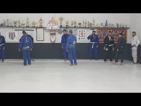 Treino Ao Vivo Jiu Jitsu Com Posições