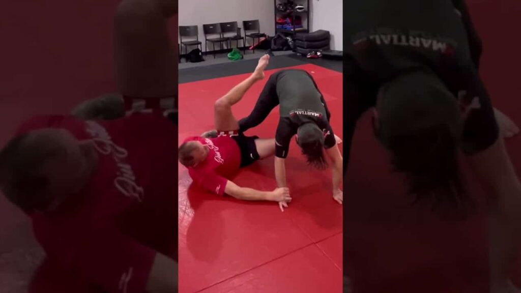 Triangle & Arm Bar Options from DLR