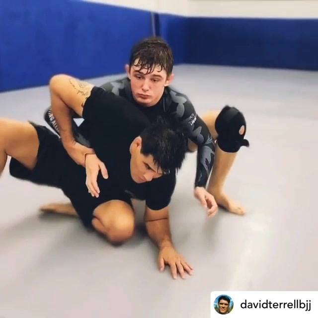 Turtle escape into straight armbar, by David Terrell.