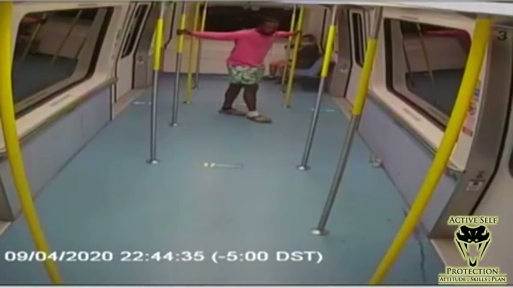 Two Attacks On The Miami Metromover