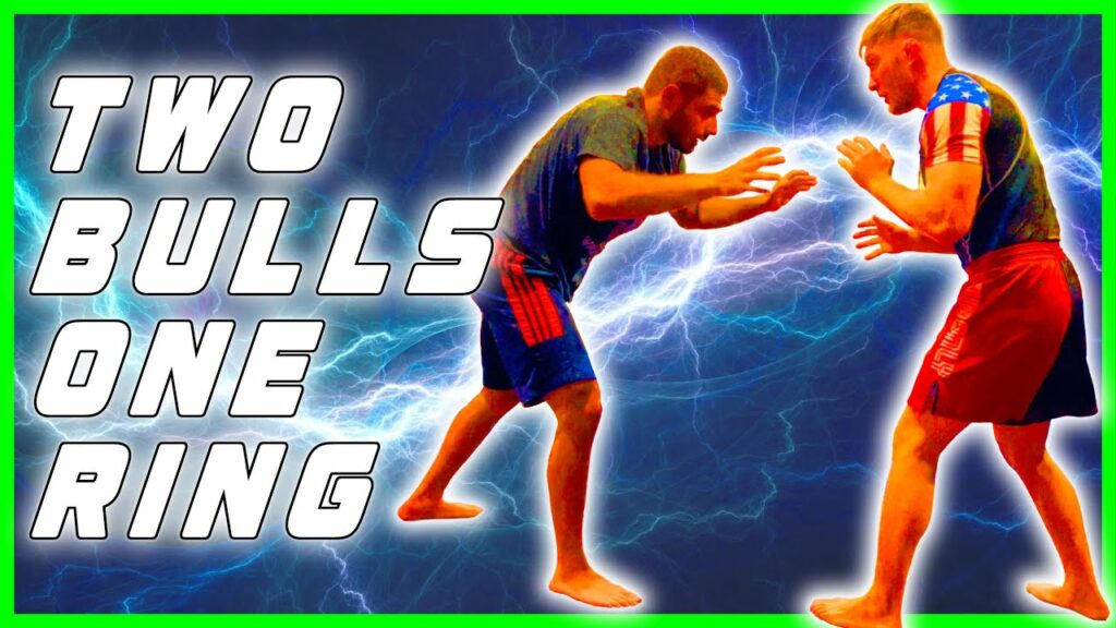Two Bulls FIGHT For a Takedown!