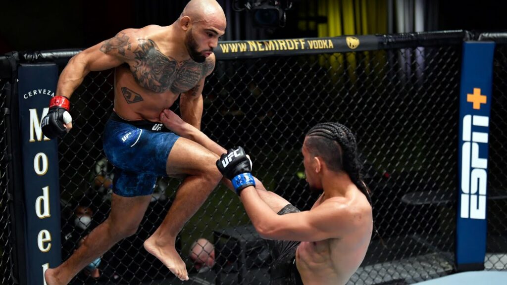 UFC 265: Fighters You Should Know