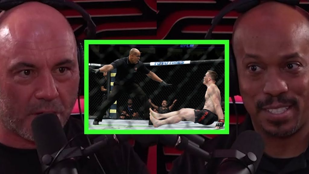 UFC Referee Mark Smith on Early Stoppages