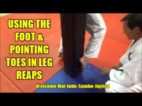 USING THE FOOT AND POINTING THE TOES IN LEG REAPS