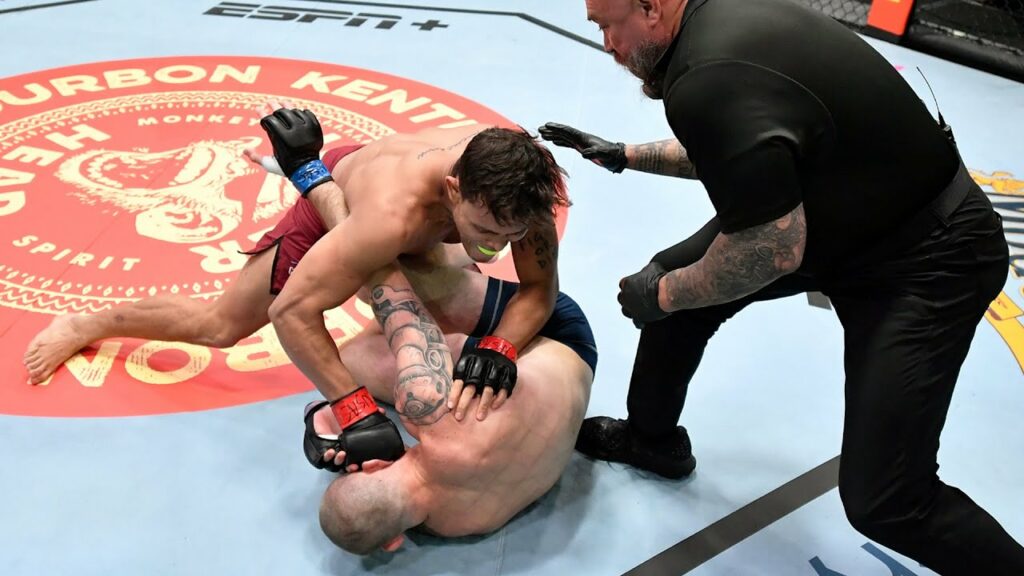 Week 8 Highlights | Dana White's Contender Series Season 5