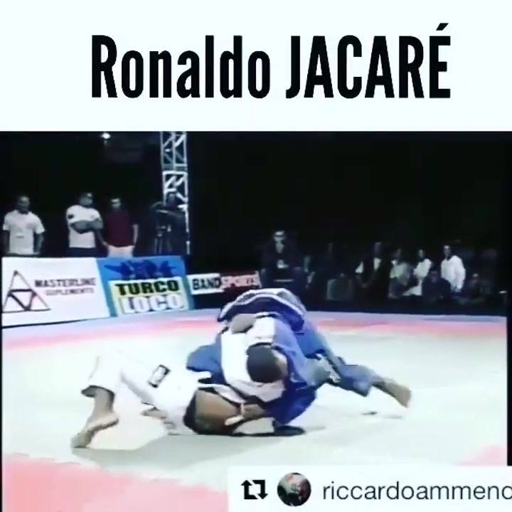 Welcome to Jacare Airlines . via @wildboarbjj - @bjjimages -   @ronaldojacare