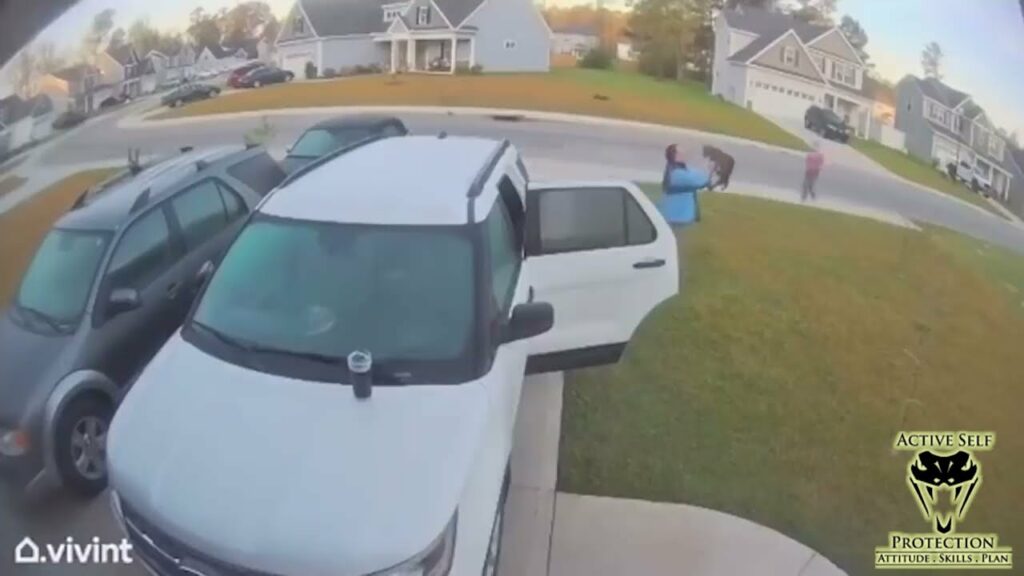 What To Do When Bobcats Attack