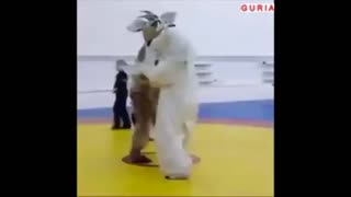 When mascots are also Wrestlers....