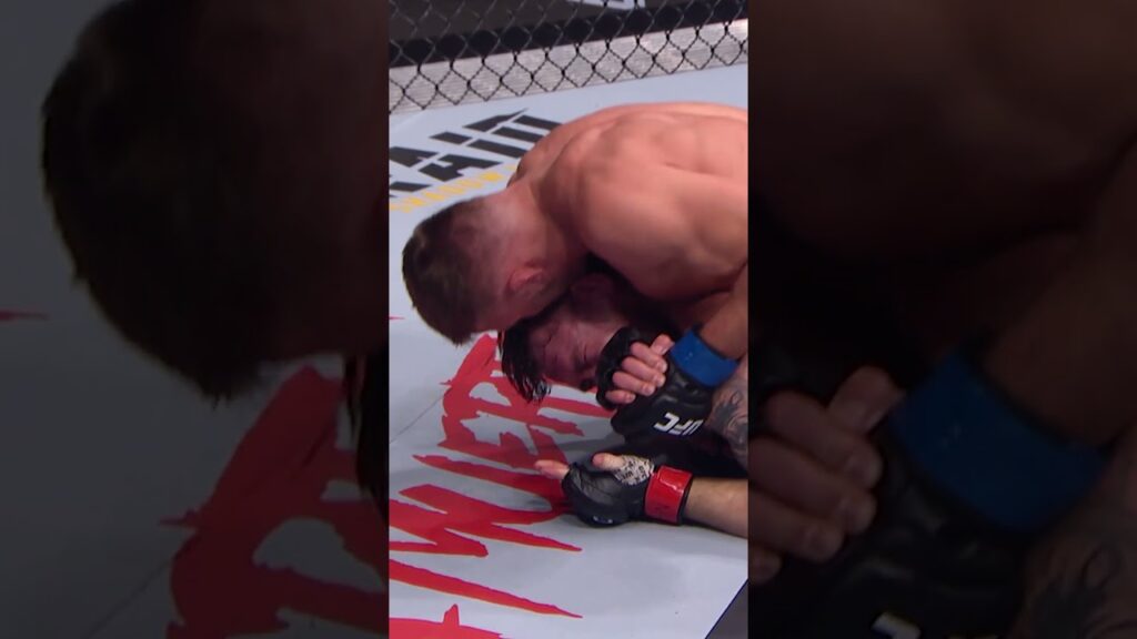 Who's excited for Dricus Du Plessis vs Khamzat Chimaev π₯ #ufc319