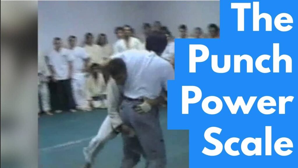 Why Brazilian Jiu-jitsu (BJJ) Works - The "Punch Power Scale"