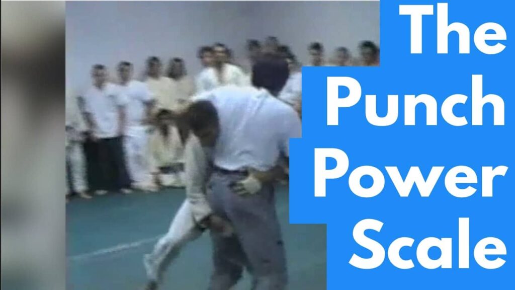 Why Brazilian Jiu-jitsu (BJJ) Works - The "Punch Power Scale"