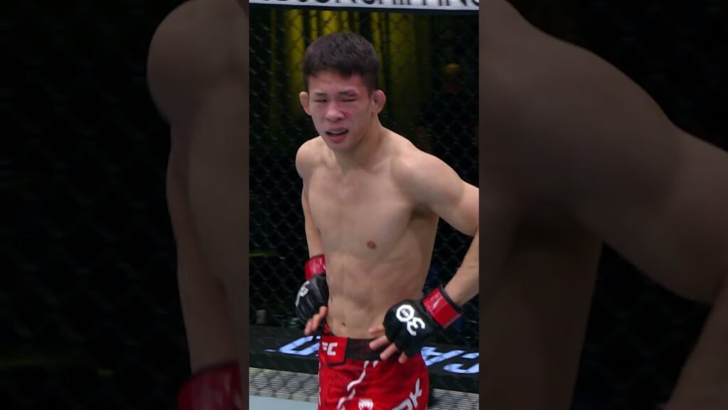 Will HyunSung Park get another finish this weekend? π #ufcvegas108