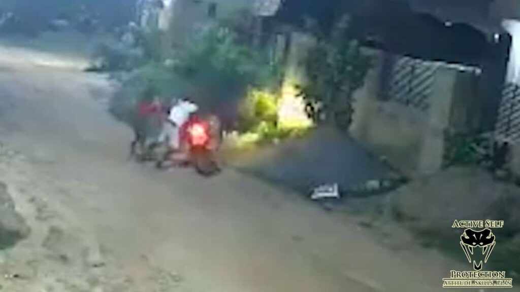 Woman Hops On The Back Of Thief's Motorcycle To Grapple Him