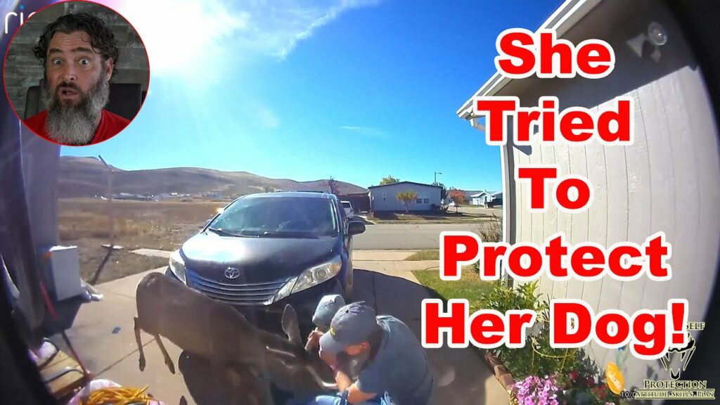 Woman Regrets Defending Her Dog From Deer Attack