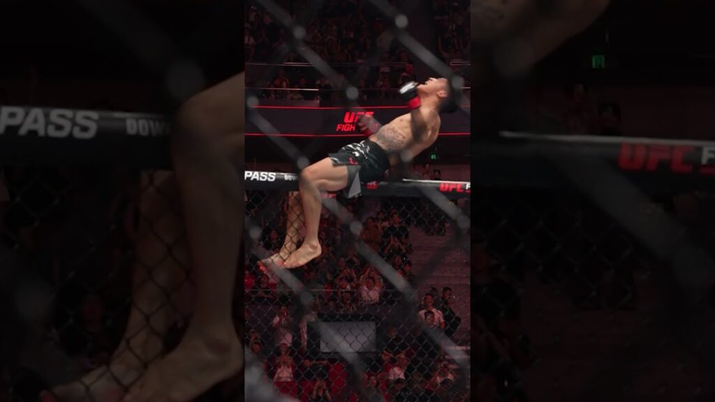 YihZa IS ON FIRE π₯ #UFCShanghai