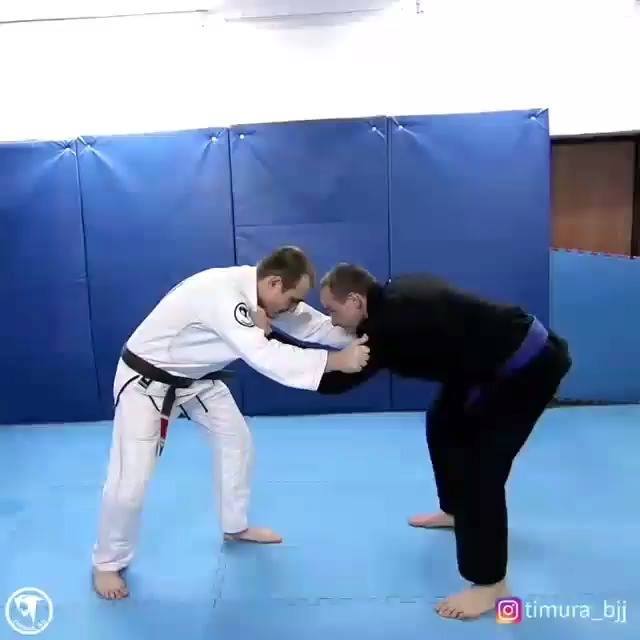 Yoko Tomoe Nage Counter to Arm Bar, by @timura_bjj