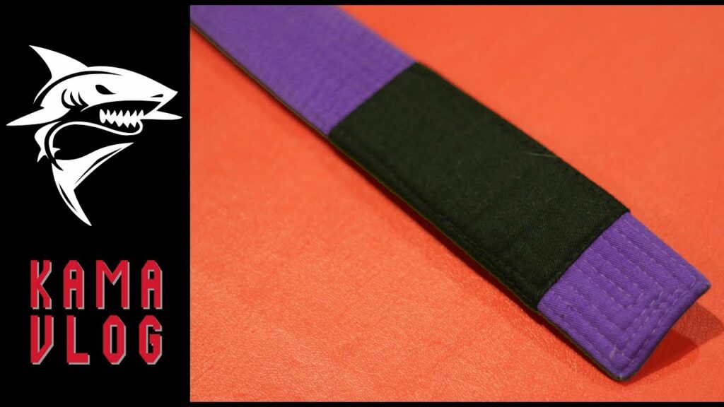 You are a PURPLE BELT.... NOW WHAT? - Kama Vlog