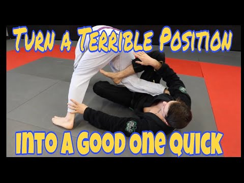 Your New Favorite Knee on Belly Counter