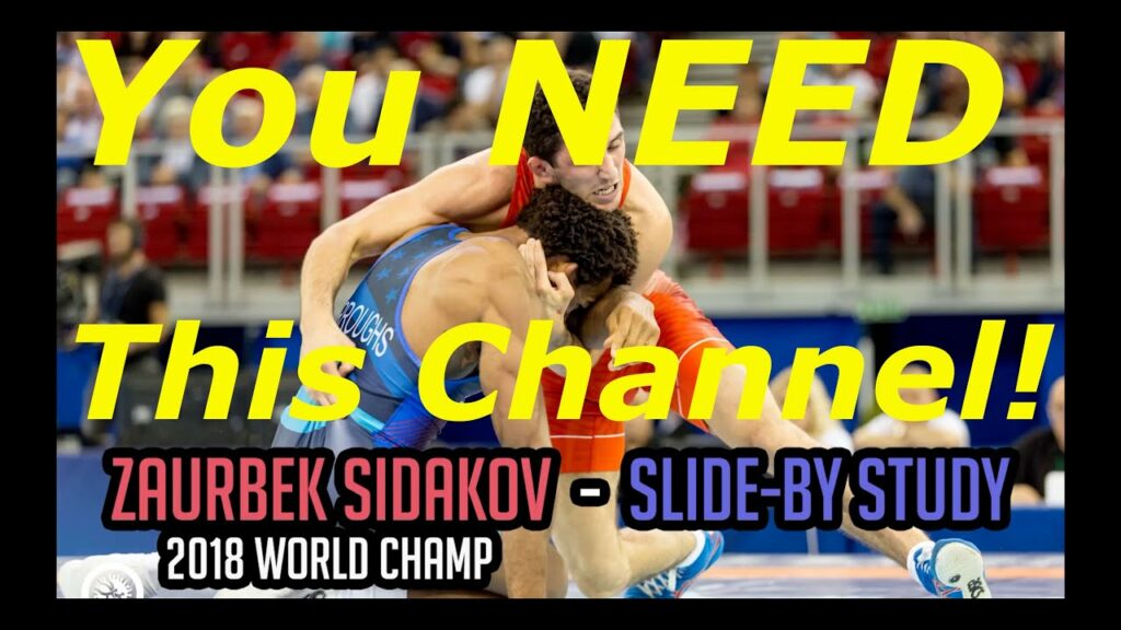 Zaurbek SIDAKOV Slide by Study by... DPS Breakdowns!