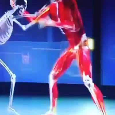 amazing clip - Fight science National Geographic