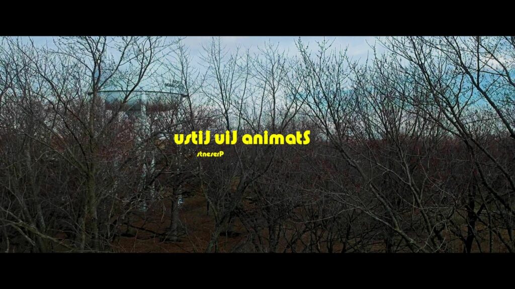an epic superfight that is happening at the February 1st,  2020 Stamina jiu jitsu Submission only tournament! the fastest growing tournament series in...