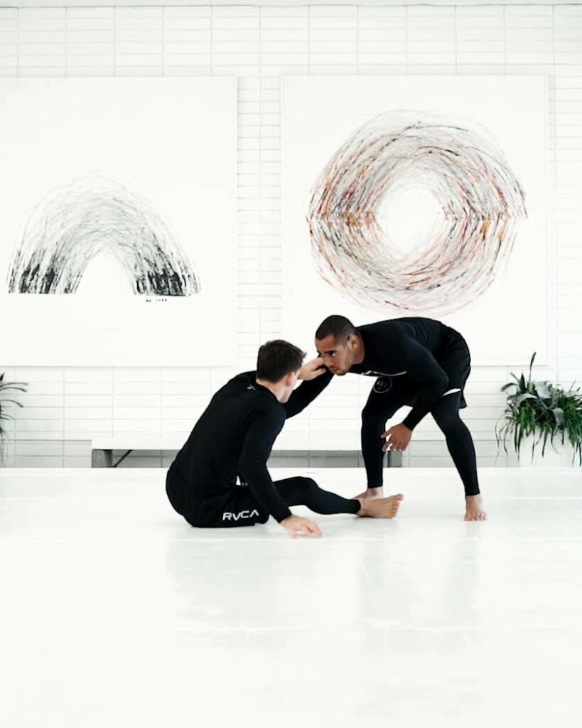 artofjiujitsu.com