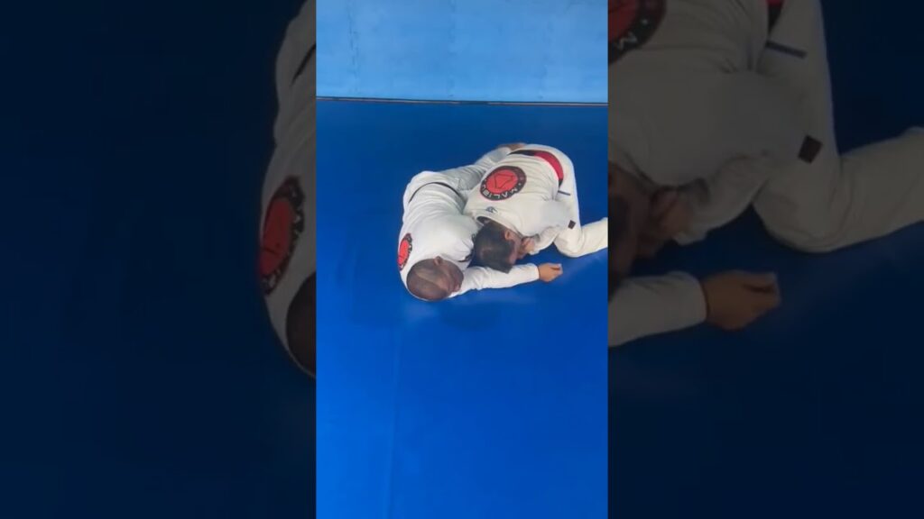 jiu jitsu laboratório