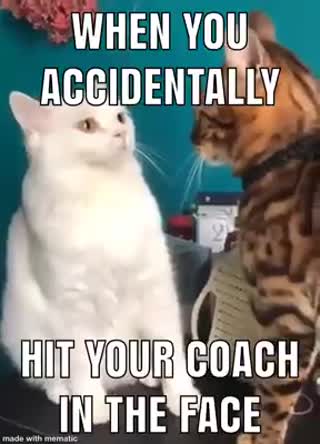 lol    Repost Montreal BJJ Scene