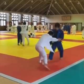 (notitle)