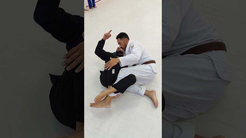 raspagem de gancho na meia guarda Feubjj