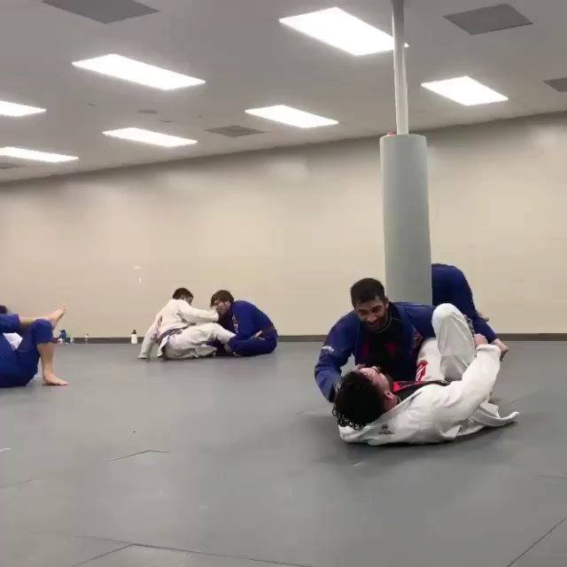 spider guard to back take by @edwinnajmi