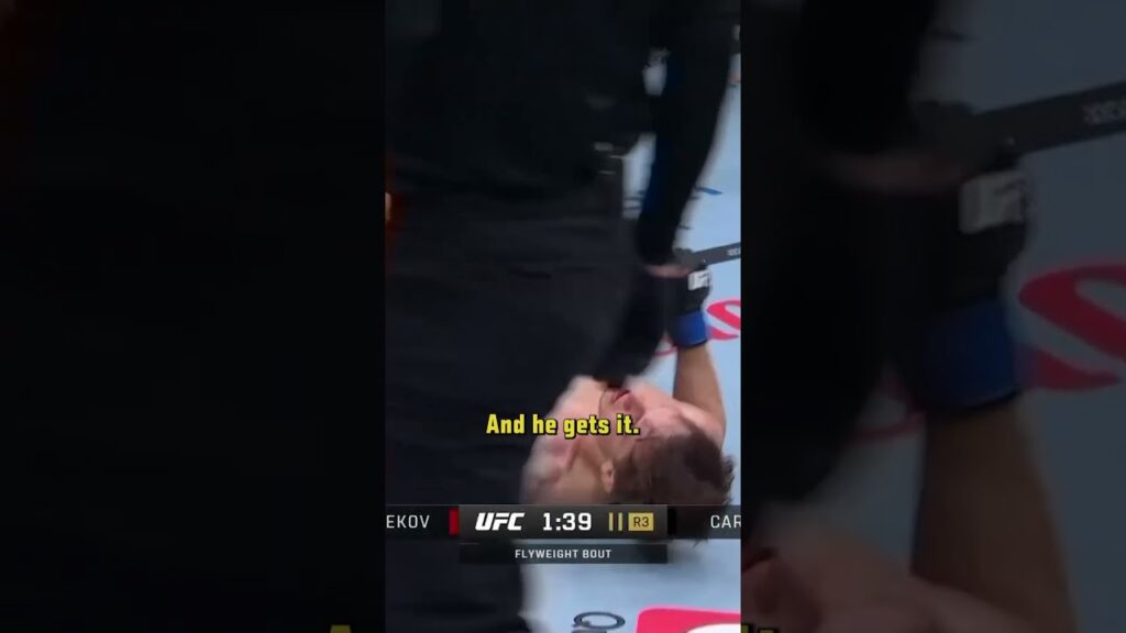 this is for you DC 🤣 #UFC311