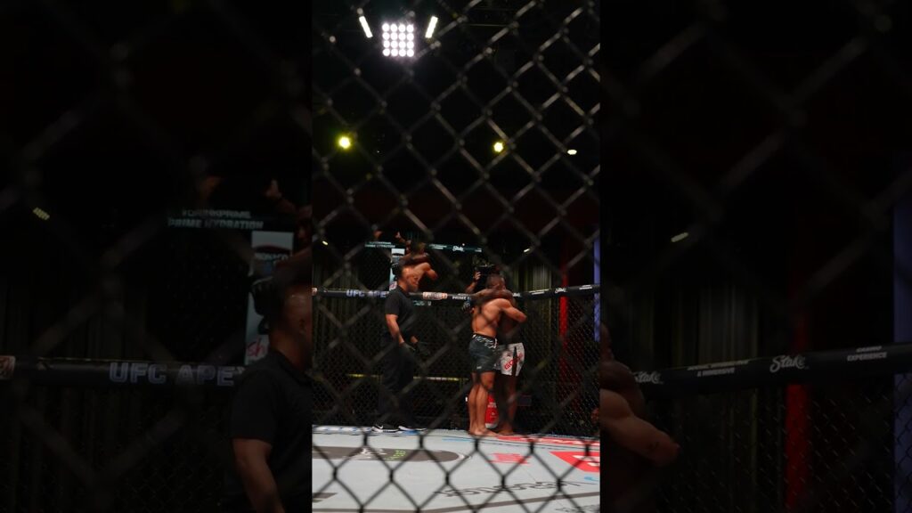 unanimous decision dub for Rodolfo Vieira π #ufcvegas108